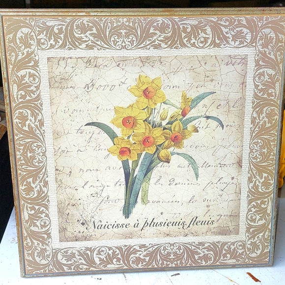 Flower Picture - Picture 2 of 4